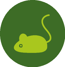 icone-rato